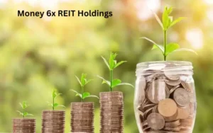 money 6x reit holdings